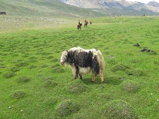 Broghil Pass